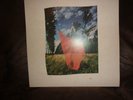 Pink Floyd ‎Wish You Were Here LP ITALY 3C 064-96918