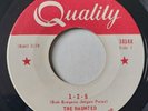 Rare 1966 - Psych Fuzz Garage Rock Surf THE HAUNTED 1 - 2 - 5 - Canada Quality