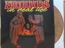 Friends In Real Life ‎– Friends In Real Life Vinyl 2025 S/T 2nd Press Color NEW