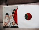 Red Vinyl Album Mono The Beatles Yesterday and Today butcher Cover