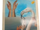 Herbie Hancock Mr. Hands Vinyl LP Schallplatte 1980 CBS CBS84638