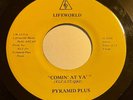 PRIVATE 2009 WI Funk/Soul/Boogie 45 - PYRAMID PLUS 