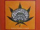 Brant Bjork And The Low Desert Punk Band, Black Power Flower, (LP, Album, Ltd),