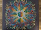 Jethro Tull - Roots To Branches double LP  (1995)