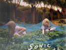 Sonic Youth Murray Street NEAR MINT Goofin Records Vinyl LP