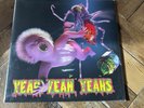 Yeah Yeah Yeahs - Mosquito (2013) Vinyl LP - NM+ Condition