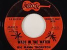 Big Mama Thornton 