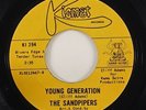 Sandpipers 