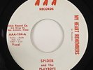 Spider & The Playboys 