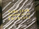 Yung Lean ‎– Unknown Death - Gold Vinyl 1LP