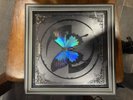 Evanescence - Fallen 20th Anniversary Limited Edition Deluxe Vinyl Box Set NEW