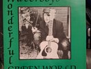 The Waterboys - Wonderful Green World LP