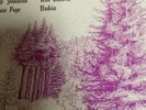 MUSIC FROM THE SANTA CRUZ MOUNTAINS RARE PRIVATE PRESS