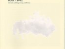 Built to Spill - There's Nothing Wrong With Love [New Vinyl LP] Digital Download