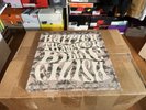 Billie Eilish x Gucci Limited Edition Happier Than Ever Vinyl Box Set (Unopened)