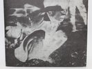 Dropdead / Crossed Out 1995 Split 5