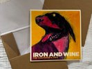 Vinyl - Iron and Wine - The Shepherd's Dog - 2007