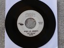 The Beach Boys  - Spirit Of America/Boogie Woogie -  1963 PROMO US 7
