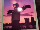Sonic Youth BAD MOON RISING Vinyl LP 1985 Homestead HMS 016 Rare Original Jacket