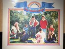 THE BEACH BOYS * SUNFLOWER * VINYL LP REISSUE (1980) CRB 31773 PLAYS GREAT