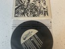 Operation Ivy 7