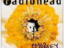 Radiohead – Pablo Honey - LP Vinyl Record 12