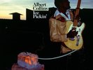 Albert Collins- Ice Pickin' 2016 Reissue Remastered 180g Vinyl LP, New Sealed