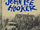 John Lee Hooker Country Blues