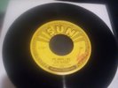 SLIM RHODES: do what i do / take and give SUN 7