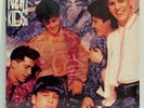 NEW KIDS ON THE BLOCK  Step By Step  Original Vinyl LP 1990 Columbia SEALED