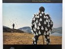 Pink Floyd Delicate Sound of Thunder • 1988 Vinyl LP Album • VG / VG+