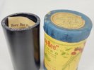 Antique Busy Bee Cylinder Record # 196 WHY DON'T THEY PLAY WITH ME Phonograph