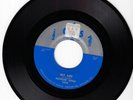 HOWLIN' WOLF MY LIFE/GOING BACK HOME  USED 45RPM