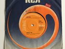 Lou Reed - Perfect/Walk On The Wild Side Day 7