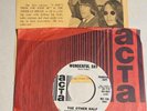 Garage 45 THE OTHER HALF Flight Of The Dragon Lady/Wonderful Day w/ Rare Insert