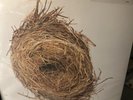 A Ghost Is Born by Wilco (Record, 2005)