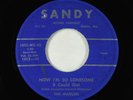 Doo-Wop 45 - Marlins - Now I'm So Lonesome (I Could Die) - Sandy
