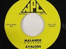 Avalons 