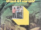 THEM In Reality  1970 OG U.S.  1st U.S. Pressing HAPPY TIGER RECORDS HT1012 VG++