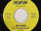 Tony & The Raindrops 