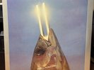 REO Speedwagon -You Can Tune Piano But Can't Tuna Fish SEALED 1ST PRESS 1978  LP