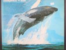 DR. ROGER S. PAYNE: songs of the humpback whale CAPITOL 12
