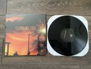 Alkaline Trio “Maybe I’ll Catch Fire” LP 2000 First Pressing Black Vinyl  /1000