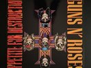 Guns N Roses Appetite for Destruction 1987 1st Press 33rpmVinyl BANNED Cover Art