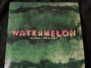 Dinner In America Watermelon  12″ Vinyl Record Limited Edition