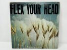 Flex Your Head- Various Artists Compilation- Dischord Records Vinyl- 1982 Press