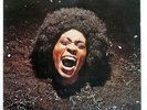 FUNKADELIC MAGGOTT BRAIN WESTBOUND SEW002 Germany VINYL LP