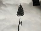 MANCHESTER ORCHESTRA SEALED A BLACK MILE TO THE SURFACE 2 LP 130g RECORDS ROCK