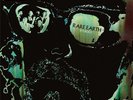 Rare Earth Ecology (Vinyl) 12