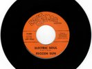 Frozen Sun Electric Soul 45 Capt Zoomar 1969 Rare AZ Heavy Psych Fuzz Brown Acid